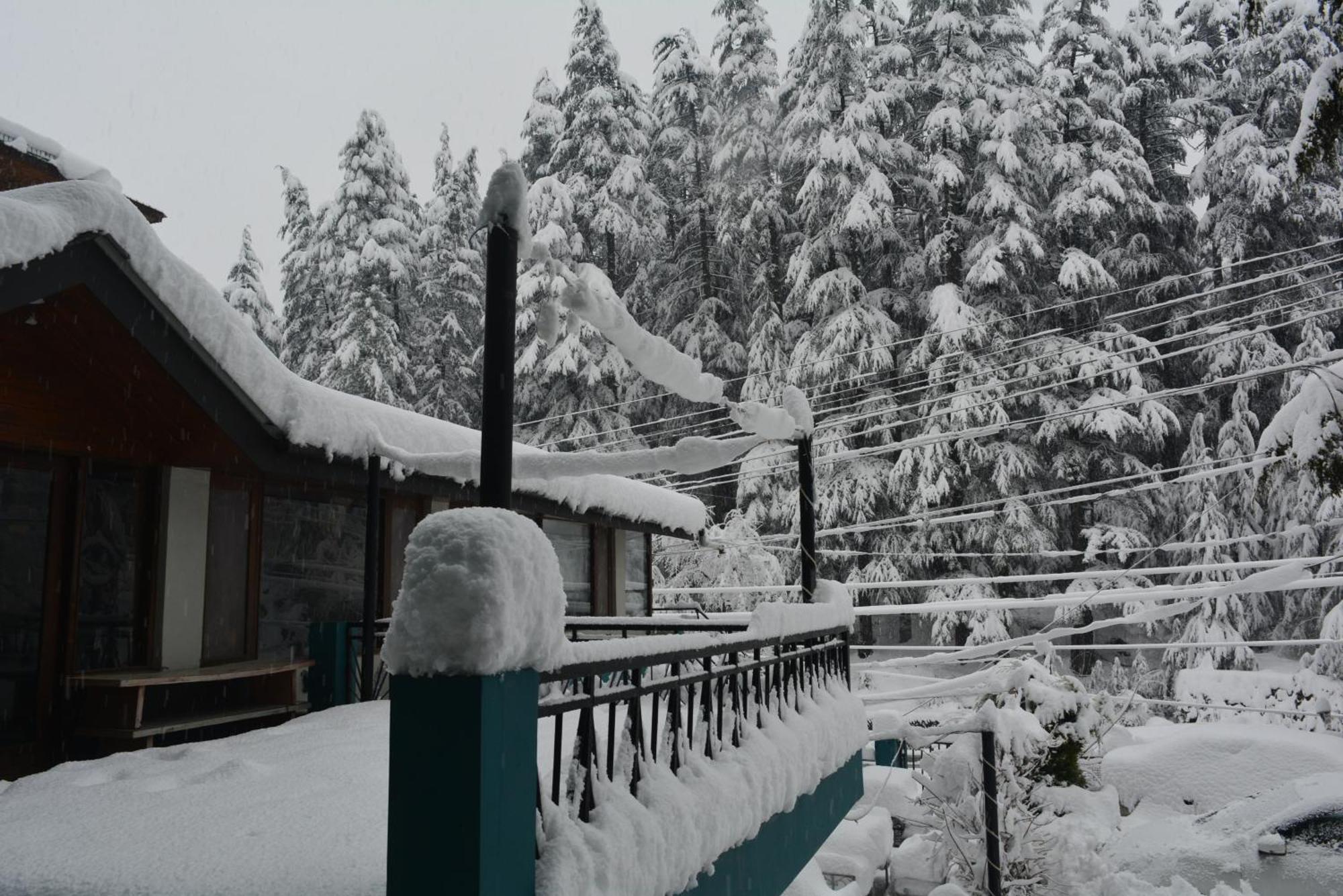 Hotel Neelgiri - Manali Diaries エクステリア 写真